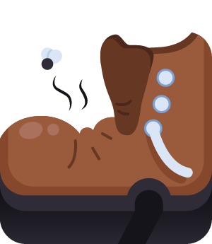 The Beginning (Killed The Wither)